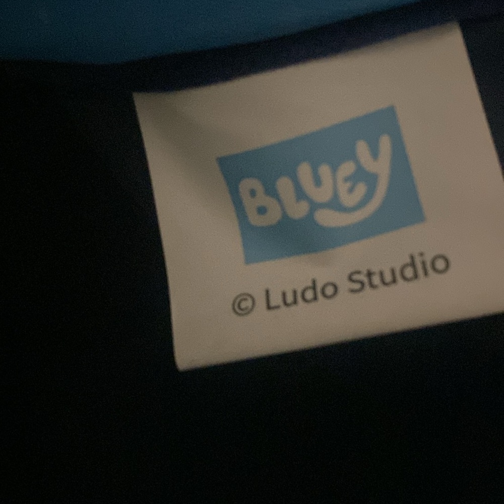 BLUEY 2 Piece Backpack Set, bluey family - Picture 8 of 9